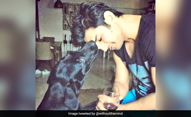 सुशांत सिंह राजपूत के डॉग फज की मौत, पोस्ट शेयर कर एक्टर की बहन ने लिखा- आप अपने दोस्त के पास