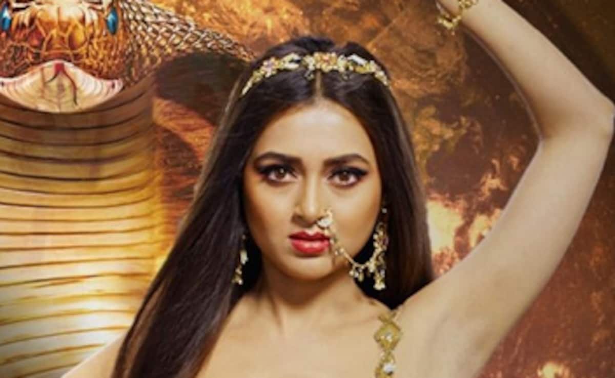 तेजस्वी प्रकाश की मम्मी को नहीं बेटी पर भरोसा, शादी से पहले लिव इन रिलेशन में रहने की दी सलाह, करण कुंद्रा शॉक्ड