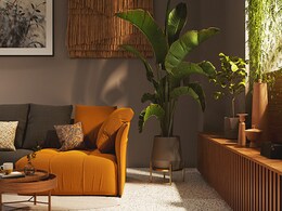 होम डेकोर पर बचत की कीमत पर रिवॉर्ड पाने के लिए ट्राई करें ये ट्रिक्स होम डेकोर पर बचत की कीमत पर रिवॉर्ड पाने के लिए ट्राई करें ये ट्रिक्स