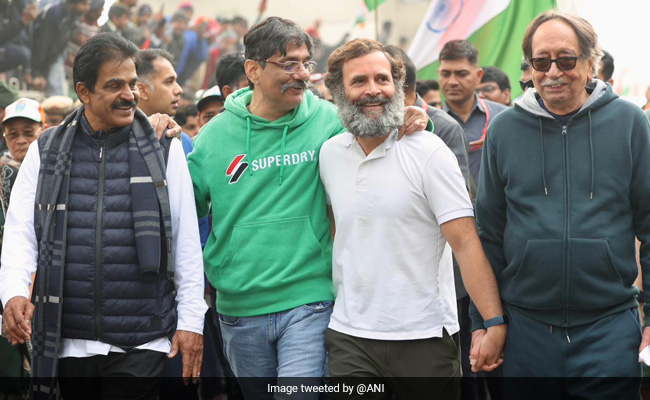 Ex RAW Chief, Sena's Priyanka Chaturvedi Join Rahul Gandhi's Yatra In UP