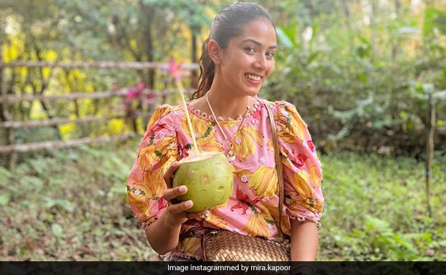 Mira Rajput's "Goan Escape" Is All About Food, Adventure And More. See Pics