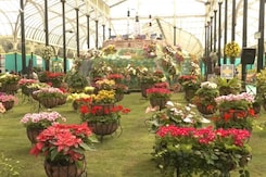 Karnataka Bengaluru's Annual Flower Show At Lal Bagh Begins Karnataka Bengaluru's Annual Flower Show At Lal Bagh Begins