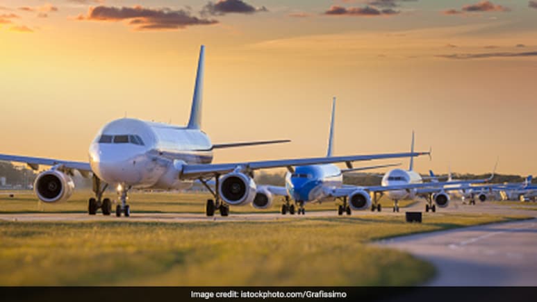 Paris Airport Shuts Runways In Search For Pet Dog On The Run For A Week
