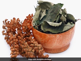 सूखे तुलसी के पत्तों को फेकने के बजाए करें इस तरीके से इस्तेमाल, यहां जानिए कैसे सूखे तुलसी के पत्तों को फेकने के बजाए करें इस तरीके से इस्तेमाल, यहां जानिए कैसे