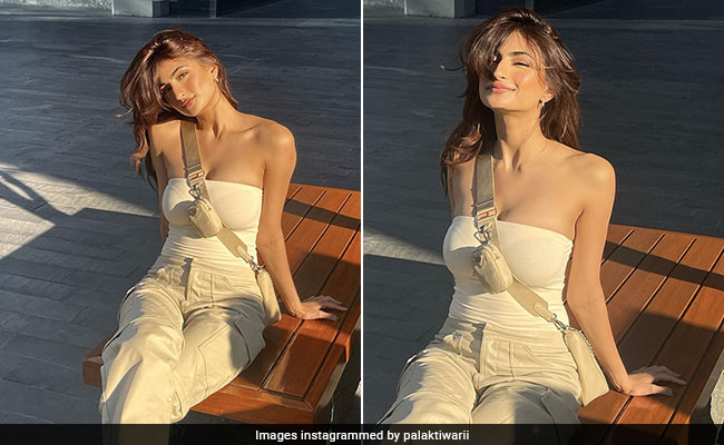 Palak Tiwari Channels Golden Hour Magic In A Minimal Street Chic Outfit
