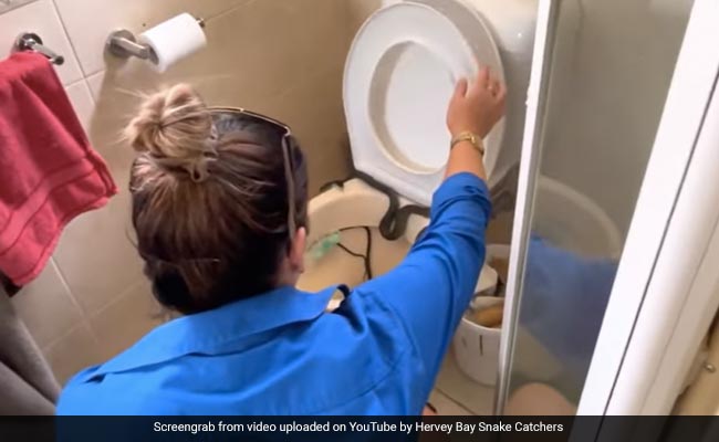 Watch: Australian Family Shocked To Find Huge Snake Inside Their Toilet