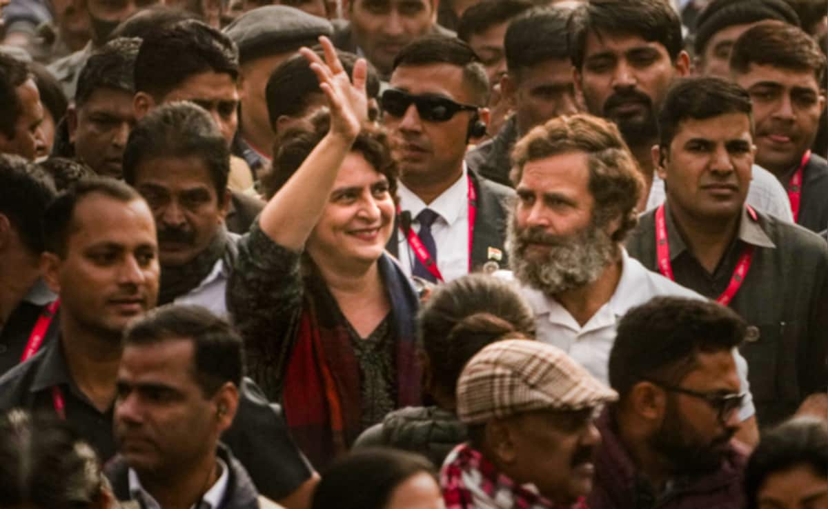 "Apples And Oranges": Congress MP On Rahul, Priyanka Gandhi's Speeches