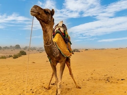 9 Interesting and Unique Things To Do At The Jaisalmer Desert Festival 2023 9 Interesting and Unique Things To Do At The Jaisalmer Desert Festival 2023