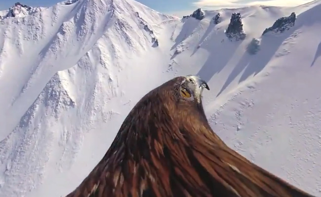 बर्फीली चोटियों के बीच पंख फैलाकर चील ने कराई खूबसूरत वादियों की सैर, देखें VIDEO