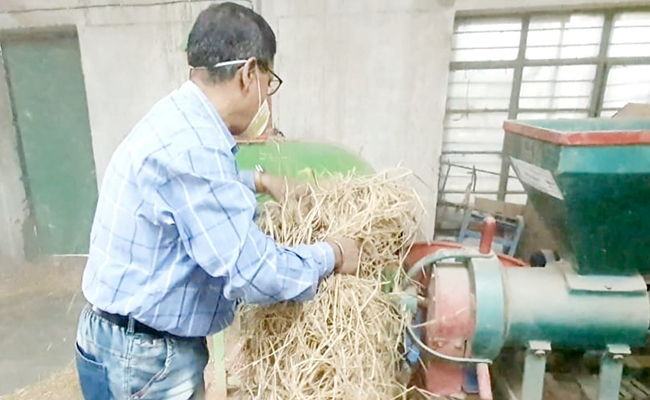 Researchers Successfully Convert Stubble To 'Cheaper, 20% Stronger' Wood