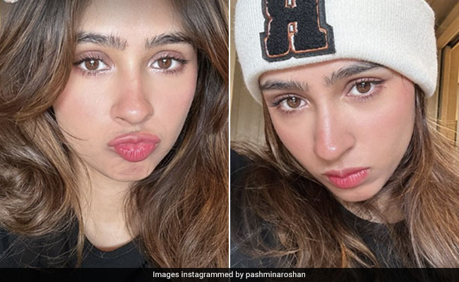 Pashmina Roshan Channels The 'I'm Cold' Makeup Trend With Brushed Brows, Blush And Highlighter
