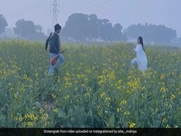 VIDEO: कपल ने रीक्रिएट किया DDLJ का आइकॉनिक सीन, सरसों के खेत में गाया गाना, लोग बोले- राज और सिमरन की याद दिला दी VIDEO: कपल ने रीक्रिएट किया DDLJ का आइकॉनिक सीन, सरसों के खेत में गाया गाना, लोग बोले- राज और सिमरन की याद दिला दी