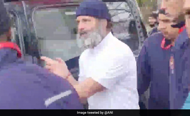 Rahul Gandhi, Sister Priyanka Visit Temple, Hazratbal Shrine Near Srinagar