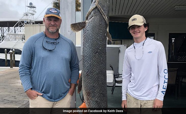 Father And Son In US Catch Giant Alligator Gar, Breaking Record
