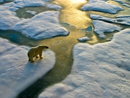 5 Catastrophic Climate Tipping Points Showing Signs, Warn Researchers 5 Catastrophic Climate Tipping Points Showing Signs, Warn Researchers