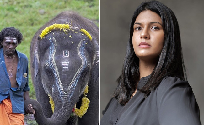 How Kartiki Gonsalves Made Oscar-Nominated Documentary <i>The Elephant Whisperers</i>: "Fell In Love With Raghu"