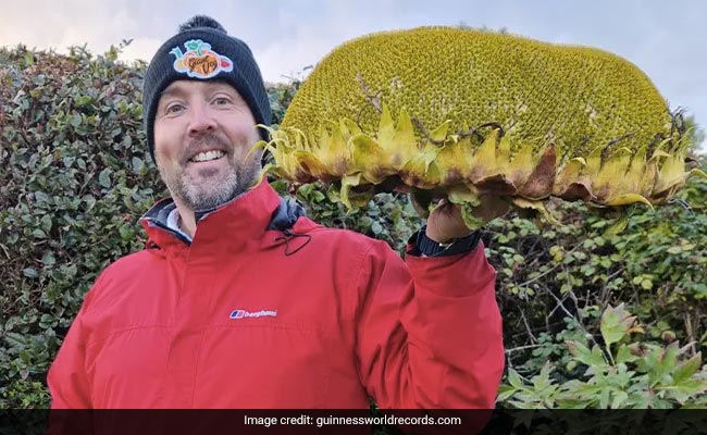 6.44 Kg Sunflower Head Owned By A UK Family Breaks World Record