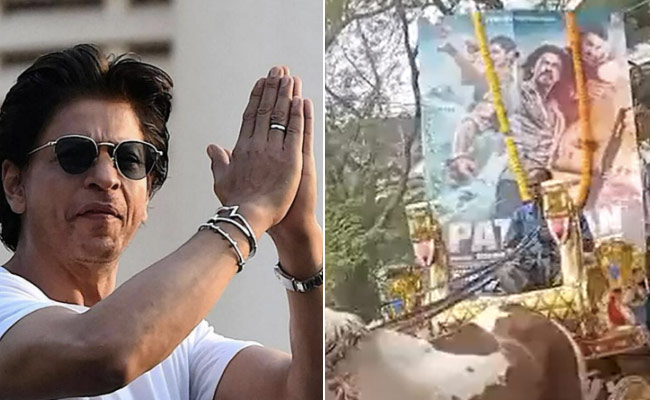 VIDEO: लोगों ने निकाली 'पठान की बारात' Shah Rukh Khan ने दिया ऐसा रिएक्शन