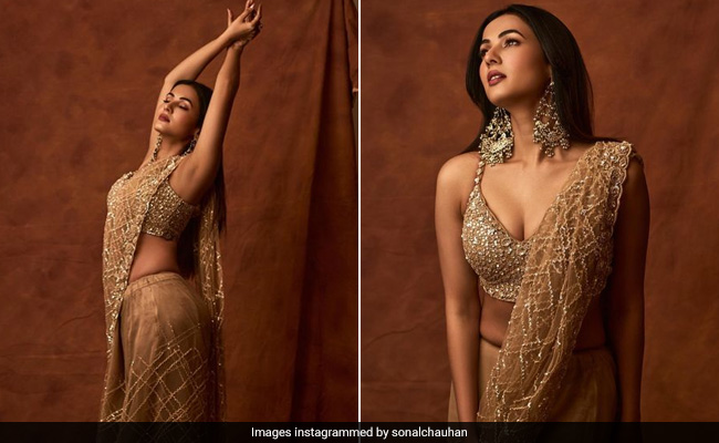 Sonal Chauhan Glistens Better Than Pure Gold In An Embellished <i>Saree</i>
