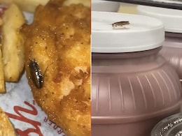 Florida Woman Finds Cockroach In Her Meal, Food Outlet Faces Enquiry  Florida Woman Finds Cockroach In Her Meal, Food Outlet Faces Enquiry
