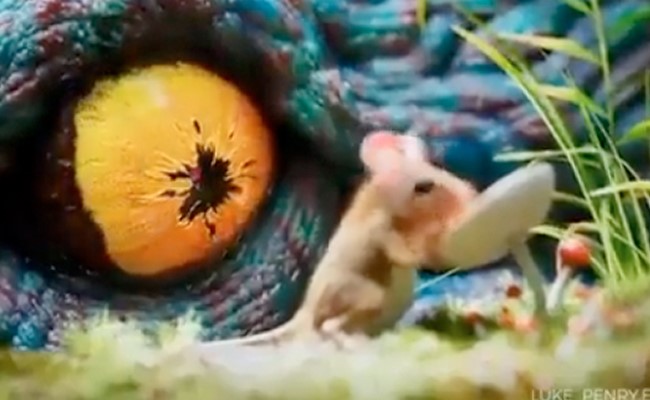 मज़े से चूहा खा रहा था खाना, तभी दैत्य उसे आंखों से देख रहा था, वीडियो देख कहेंगे- प्रकृति सुंदर है