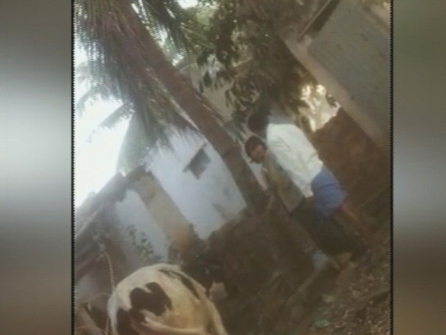 Karnataka Dalit Woman Tied To Pole, Thrashed After Cows Strayed Into Field