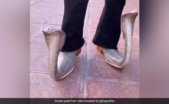 Harsh Goenka Asks For Captions For Snake-Shaped Shoes, Replies Are Hilarious