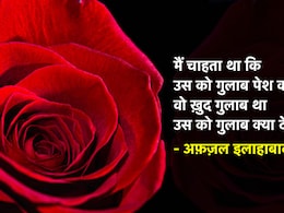 Rose Day 2024: वैलेंटाइन वीक के पहले दिन दिन क्यों देते हैं एक दूसरे को गुलाब, जानिए किस रंग का क्या मतलब और गुलाब के फायदे Rose Day 2024: वैलेंटाइन वीक के पहले दिन दिन क्यों देते हैं एक दूसरे को गुलाब, जानिए किस रंग का क्या मतलब और गुलाब के फायदे