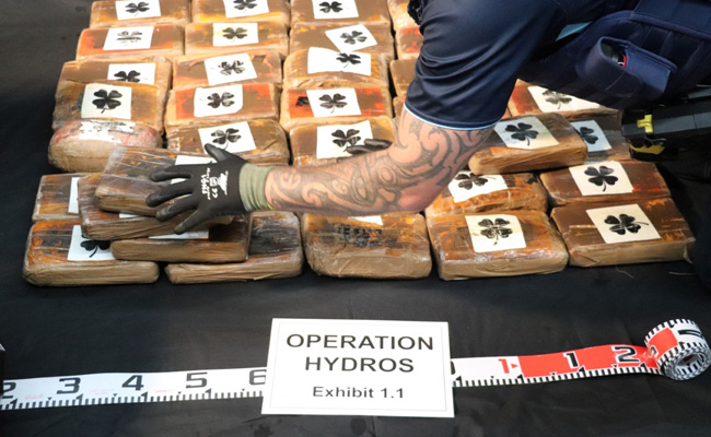 Huge Stash Of Cocaine Found Hidden Inside Banana Crate In Italy