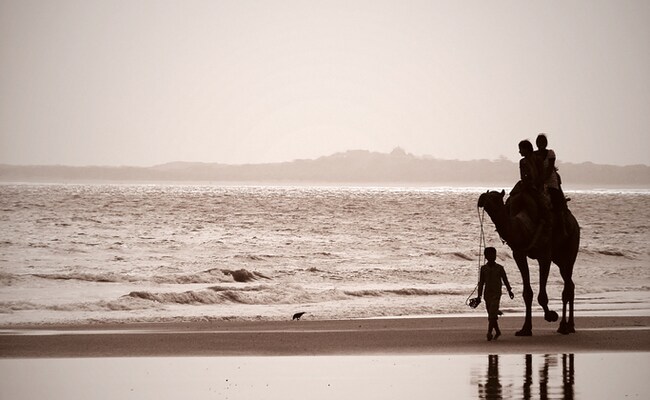 Temperature May Rise In Konkan, Kutch Coastal Areas Over Next 2 Days