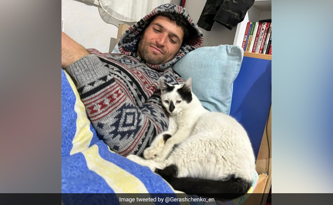 Turkey Earthquake: Rescued Cat Refuses To Leave Man Who Saved It