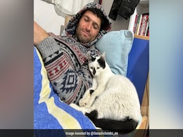 Turkey Earthquake: Rescued Cat Refuses To Leave Man Who Saved It Turkey Earthquake: Rescued Cat Refuses To Leave Man Who Saved It