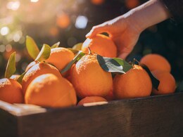 Ultimate Guide To Oranges: 5 Different Varieties In India You Must Try