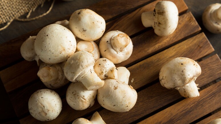 Benefits Of Mushroom: क्यों करना चाहिए मशरूम का सेवन? जानें 6 बड़े कारण