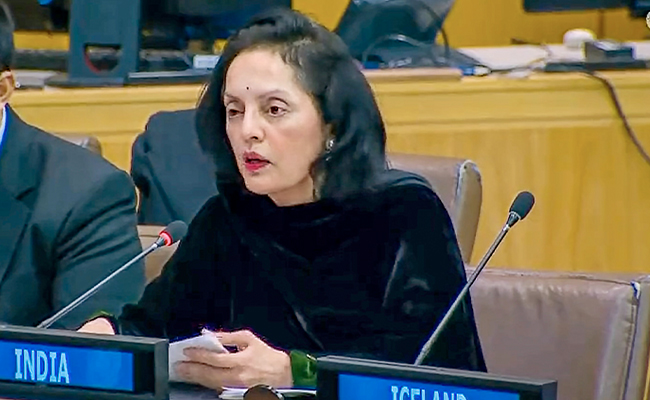 "PM Modi Believes Women Are Not Just Homemakers But...": India's UN Envoy