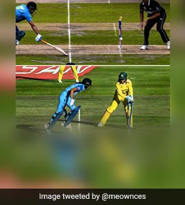 "Will Never Forget...": Indian Cricket Fans Equate Harmanpreet Kaurs Run Out With MS Dhonis At 2019 World Cup