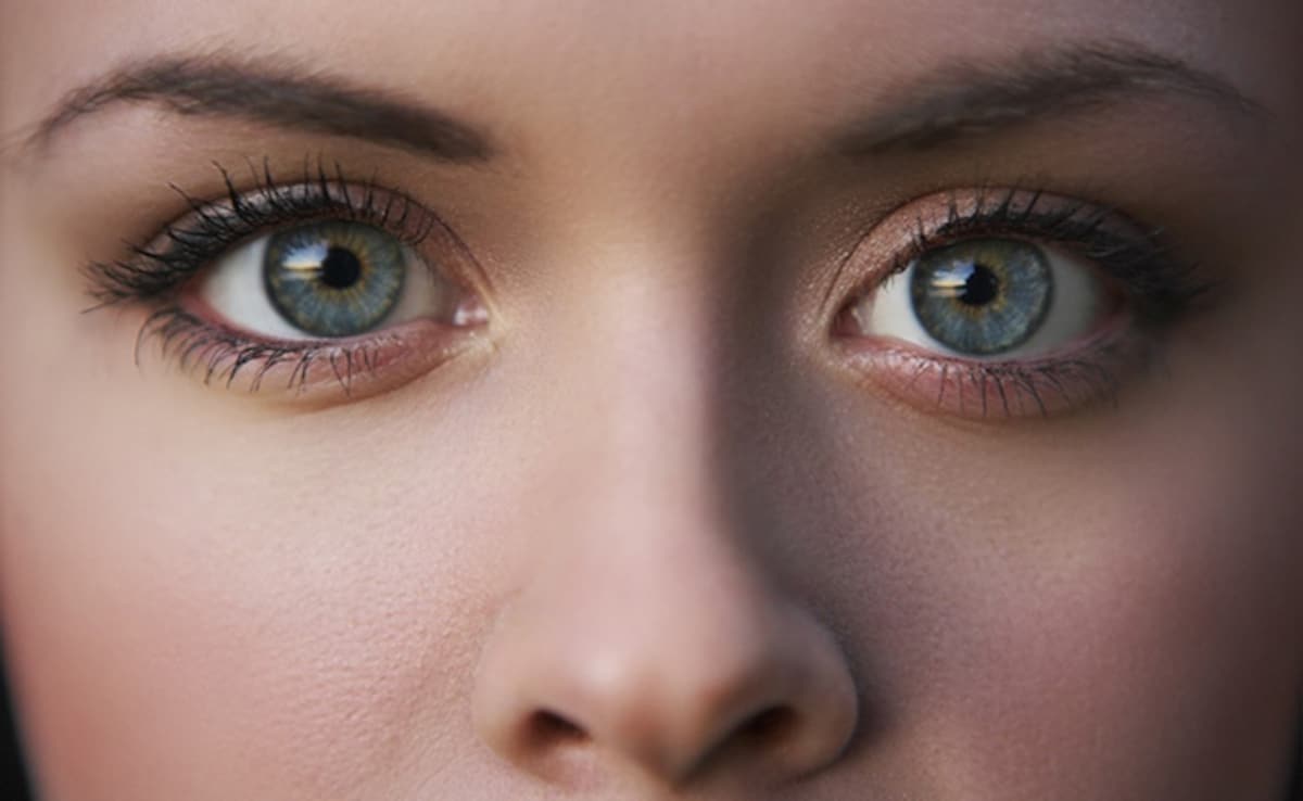 Latest and Breaking News on NDTV Latest and Breaking News on NDTV