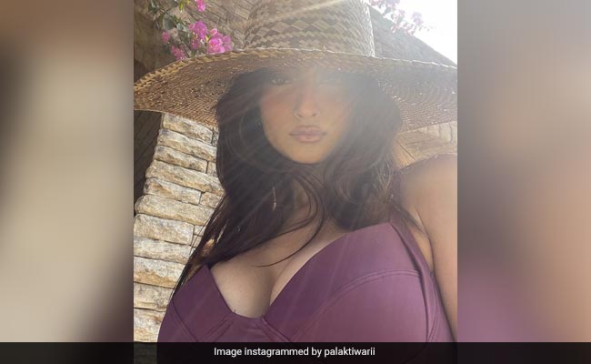 पलक तिवारी के लेटेस्ट फोटोशूट ने बढ़ाया इंटरनेट का पारा, PHOTOS देख फैन्स ने कहा- फायर है