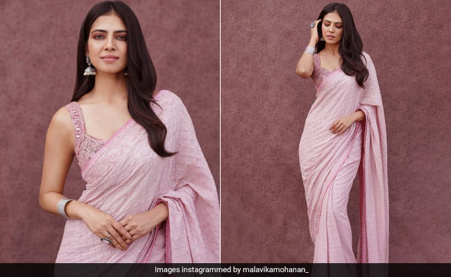 Malavika Mohanan's Dreamy Pastel Pink <i>Saree</i> Is Springtime Perfection