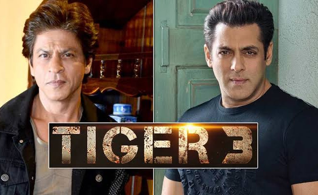 टाइगर की दुनिया में कदम रखेगा पठान, एक बार फिर से धूम मचाएंगे किंग खान और भाईजान 
