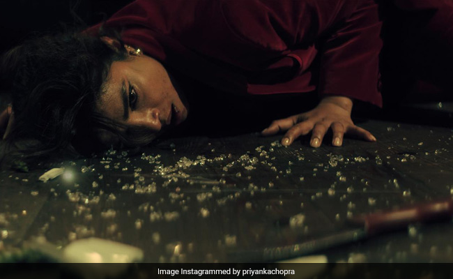 <i>Citadel</i> Teaser: Priyanka Chopra-Richard Madden's Series Promises To Be An Action-Packed Spy Thriller