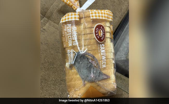 Blinkit Delists Store After Man Tweets Photo Of Rat Inside Bread Packet Ordered From App