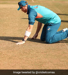 <i>Besharam Rang</i>...": Memes Galore As Steve Smith Inspects Pitch Ahead Of First Test Against India