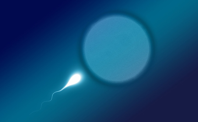 As China's Population Declines, Young Men Are Being Urged To Donate Sperm