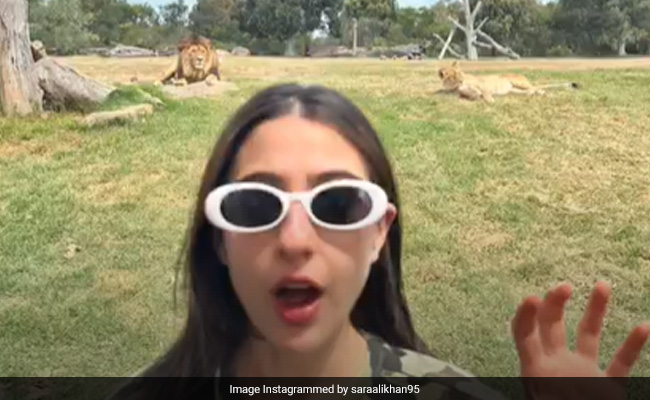 In Pic: A Scene From Sara Ali Khan's Melbourne Zoo Visit