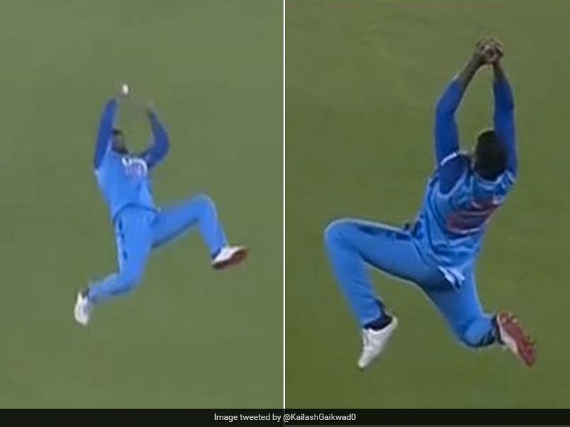 Video: तीसरे टी20 में सुपरमैन सूर्यकुमार यादव ने लपके तीन अविश्वसनीय कैच, फुर्ती देख न्यूजीलैंड का सर चकराया
