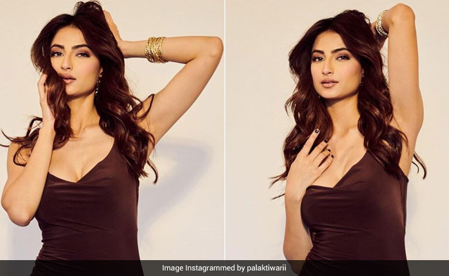 Palak Tiwari's Slinky Brown Dress Is Far From Basic In Our Eyes
