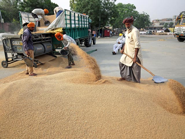 India Sets Up Panel To Assess Impact Of Higher Temperatures On Wheat Crop