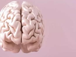 Best Adderall Alternatives: OTC Medication For ADHD Best Adderall Alternatives: OTC Medication For ADHD