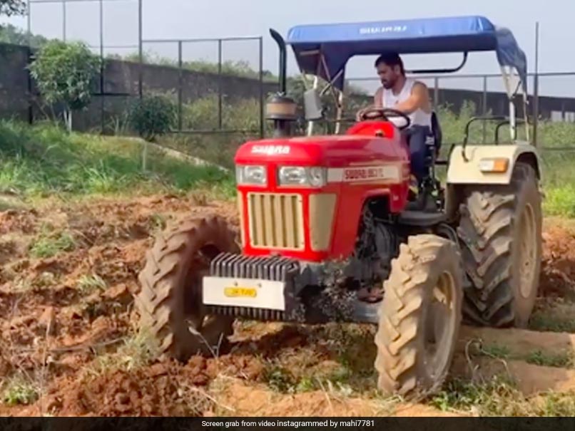 "No Number Plate": Ravindra Jadeja Pokes MS Dhoni On Driving Tractor. Fans Amused